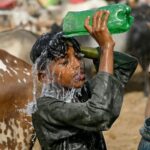 Month of May was world’s second-warmest on record: EU scientists