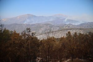 Syria says wildfires in northwest Latakia province contained after 10 days