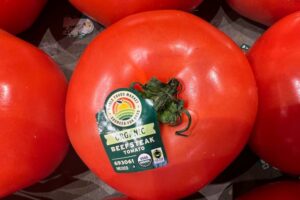 Trump slaps 17 percent tariff on tomatoes from Mexico