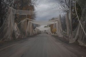 Russia-Ukraine war: List of key events, day 1,347