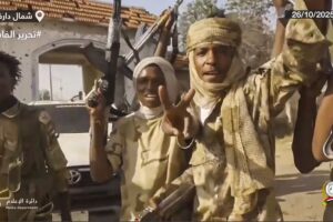 RSF digging mass graves in Sudan’s el-Fasher to ‘clean up massacre’: Expert