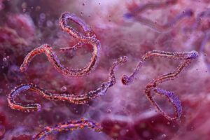 Ethiopia confirms first outbreak of Marburg virus