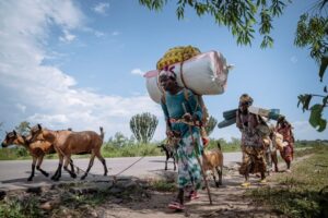 Week in Pictures: From Cambodia-Thailand clashes to protests in Greece