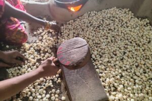 As Trump’s tariffs hit Indian fox nuts, the superfood eyes new markets