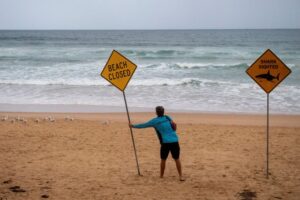 Australia closes dozens of east coast beaches after shark attacks