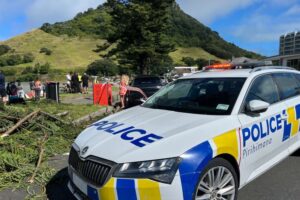 Rescuers search for survivors after landslide at New Zealand campsite