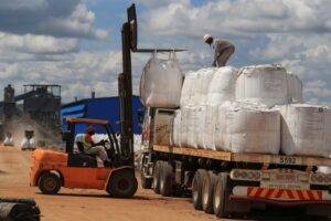 Zimbabwe imposes ban on exports of all raw minerals and lithium concentrate