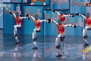 Humanoid robots perform advanced martial arts at Chinese New Year gala