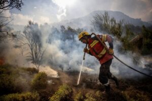 Austerity hinders fight against wildfires in Argentina’s Patagonia