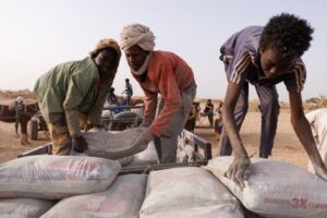 Aid reaches Sudan’s Kordofan as over 30 countries alarmed by drone attacks