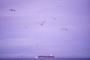 Iran banks big on murky oil ‘trustees’ as war with US on the horizon