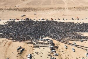 Why did Saif al-Islam Gaddafi have to die?