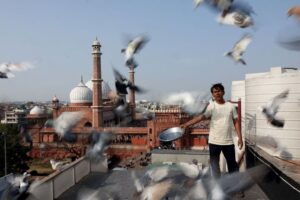 Mughal-era pigeon training survives in heart of India’s capital