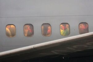 DR Congo to receive ‘third-country’ deportees from the US under new deal