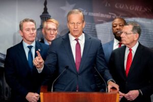 What is Trump-backed SAVE America Act and what could it mean for US vote?