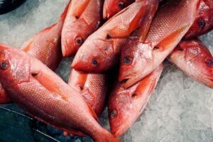 Trump expands red snapper fishing as critics warn of overfishing