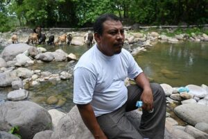 Honduras mayor arrested for masterminding environmentalist’s killing