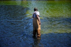 Why Washington’s reflecting pool has gone from ‘US blue’ to algae green