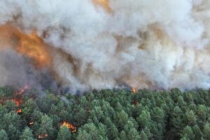 Wildfires near Paris force evacuations, disrupt train lines and motorway