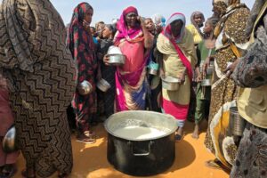 Sudan faces escalating hunger crisis due to war and Hormuz disruption – WFP