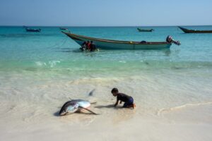 World’s oceans experience hottest June ever, scientists say more heat ahead